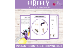 Life Cycle of a Firefly | Lightning Bug Unit Study With Fun Facts!