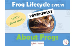 Life cycle of a Frog PowerPoint KS1