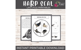 Life Cycle of a Harp Seal- Ocean Animal Science Unit Study & Fun Facts