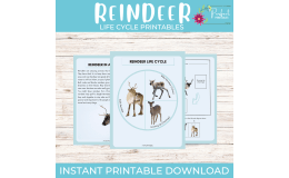 Life cycle of a Reindeer Worksheet- Winter Animal Science Unit Study
