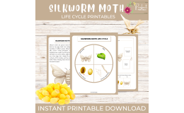 Life Cycle of a Silkworm Moth Worksheet - Insect Science Unit Study