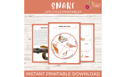 Life Cycle of a Snake Worksheet - Reptiles Science Unit Study
