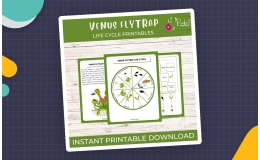 Life Cycle of a Venus Flytrap Worksheet- Plant Science Unit Study