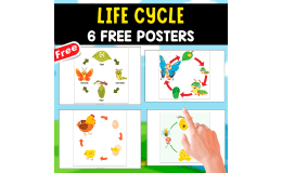LIFE CYCLE OF ANIMALS | 6 POSTERS