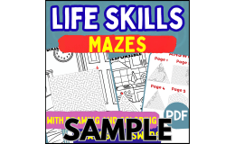 Life Skills Maze: 1 Page Sample (PDF)