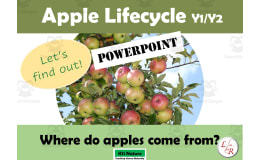 Lifecycle of an Apple PowerPoint: Seasons