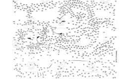 Lion Extreme Difficulty Dot-to-Dot / Connect the Dots