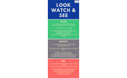 Look, Watch & See | Intermediate Lesson Plan