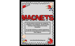 Magnet Activity