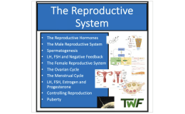 Male and Female Reproductive Systems - Senior Biology lesson