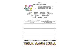 Mammal VS Reptile Worksheet