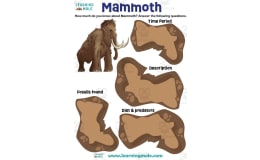 Mammoth Activity