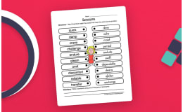 Match Synonyms Worksheet