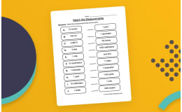 Match the Measurements Worksheet