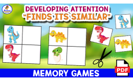 MEMORY GAME - FINDS ITS SIMILAR