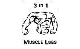 Muscular System ~ Muscle Labs Package