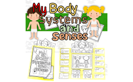 My Body Systems And Senses Lapbook