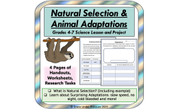 Natural Selection & Animal Adaptations Worksheets 4th 5th 6th 7th Gr