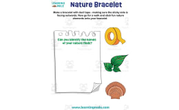 Nature Bracelet Activity