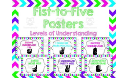 Neon Fist to Five Posters