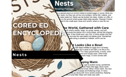 Nests Reading Comprehension Passage - Cored Ed Encyclopedia