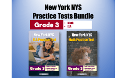 New York NYS Practice Tests Bundle for Grade 3