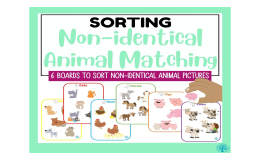 Animal Picture Matching: Different Images of the Same Animal