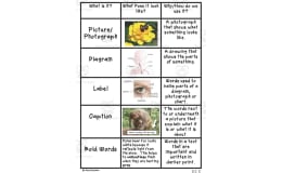 Nonfiction Text Features – Anchor Chart Set
