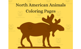 North American Animals Coloring Pages