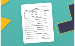 Noun Fill in the Blanks Worksheet