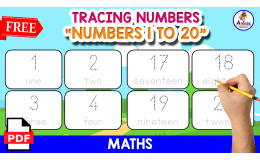 NUMBERS FLASHCARDS | NUMBERS 1 TO 20