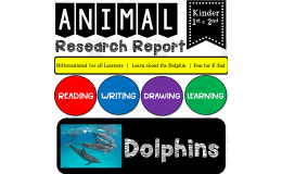 Ocean Animal Research Writing Project on DOLPHINS for K-2nd Grade