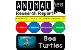 Ocean Animal Research Writing Project on SEA TURTLES for K-2nd Grade