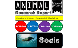 Ocean Animal Research Writing Project on SEALS for K-2nd Grade