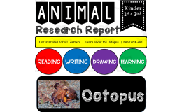 Ocean Animal Research Writing Project on the OCTOPUS for K-2nd Grade