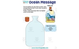 Ocean Message Activity