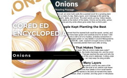 Onions Reading Comprehension Passage - Cored Ed Encyclopedia
