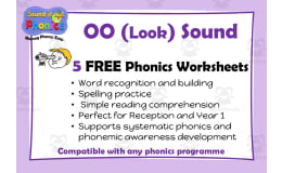 OO (Look): Short OO/Vowel/Vowel Team Phonics Worksheets