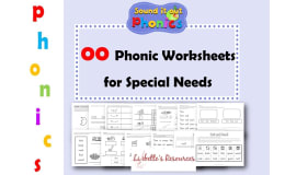oo Phonic Worksheets for Early Years/Intervention