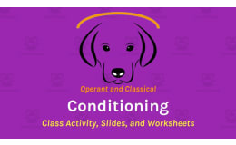 Operant and Classical Conditioning (Slides, Class Activity, Worksheets, Videos)