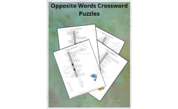 Opposite Words Crossword Puzzles for Spelling English