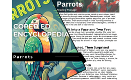 Parrots Reading Comprehension Passage - Cored Ed Encyclopedia