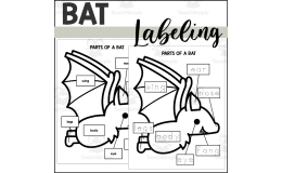 Parts of a Bat: Labeling a Bat