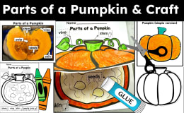 Parts of a Pumpkin + Pumpkin Craft Bundle