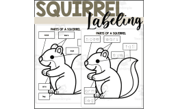 Parts of a Squirrel: Labeling a Squirrel