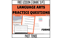 Past Tense Sample - Grammar Grade 3-4 (Forms)