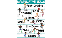 PE Poster Visuals: Manipulative Skills
