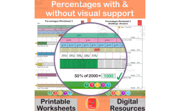 Percentages of quantities with and without visual support - 6th Grade