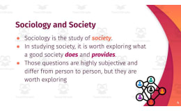 Perfect Society Activity