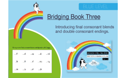Phonics And Spelling Practice: Final Consonant Blends & Endings
